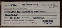 Image Associated With the Occurence